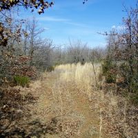 77 Acre Blank Slate for Your Imagination - Noble OK images 5