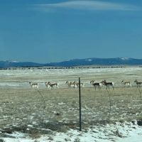 Elk Valley Ranch
