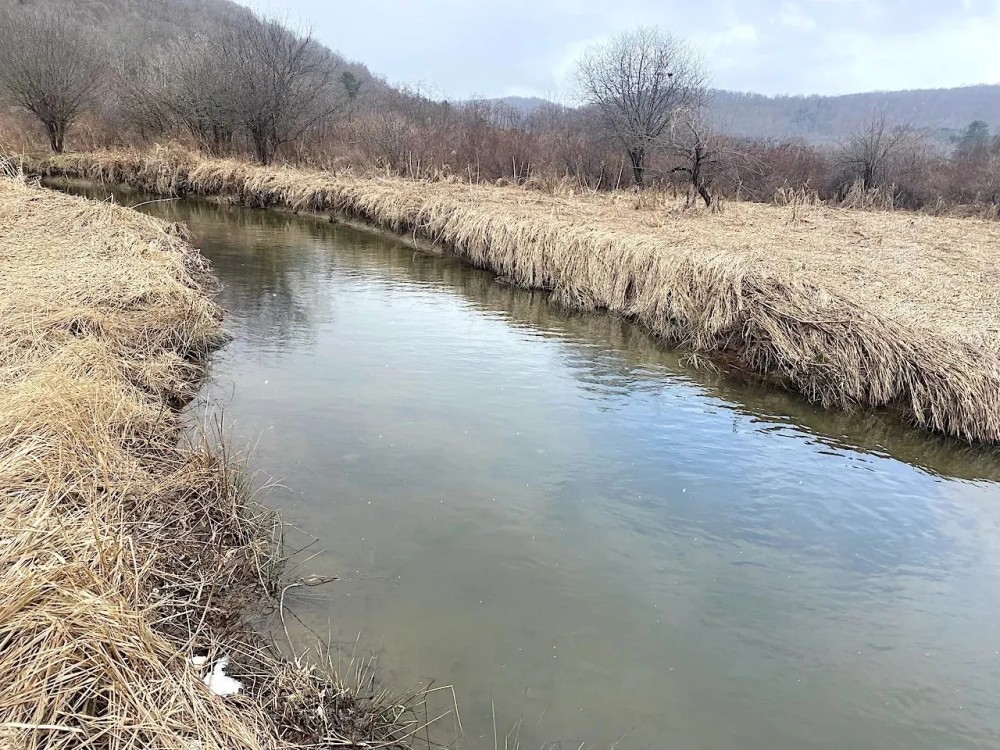 71 acres Hunting Land with Cabin and Creek near Alma Pond in Alma NY County Road 38 featured image