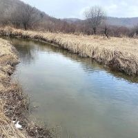 71 acres Hunting Land with Cabin and Creek near Alma Pond in Alma NY County Road 38