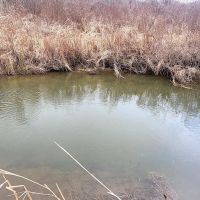 71 acres Hunting Land with Cabin and Creek near Alma Pond in Alma NY County Road 38 images 2