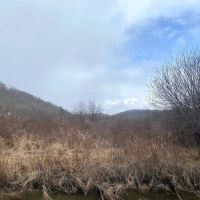 71 acres Hunting Land with Cabin and Creek near Alma Pond in Alma NY County Road 38 images 4