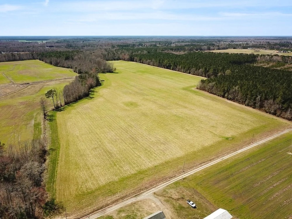59 Acre Working Farm and Hunting Land for Sale in Suffolk Virginia featured image