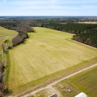 59 Acre Working Farm and Hunting Land for Sale in Suffolk Virginia