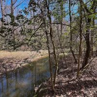 59 Acre Working Farm and Hunting Land for Sale in Suffolk Virginia images 3
