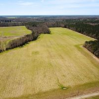 59 Acre Working Farm and Hunting Land for Sale in Suffolk Virginia images 5