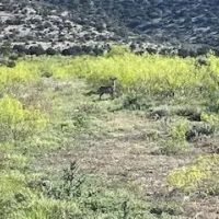 West Texas Pecos River Lake Ranch near Fort Lancaster images 4