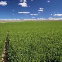 Sevens Ranch images 4