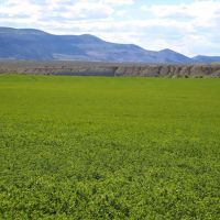 Sevens Ranch images 5