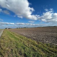 Thorndale Farm Ag Exempt Unrestricted in Milam County images 1