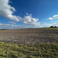 Thorndale Farm Ag Exempt Unrestricted in Milam County images 2