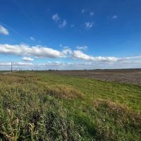 Thorndale Farm Ag Exempt Unrestricted in Milam County images 4