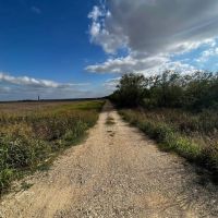 Thorndale Farm Ag Exempt Unrestricted in Milam County images 5