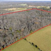90 acres of prime hardwood timber hunting land images 2