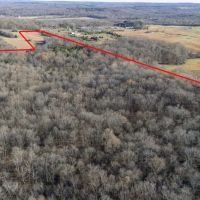 90 acres of prime hardwood timber hunting land images 3