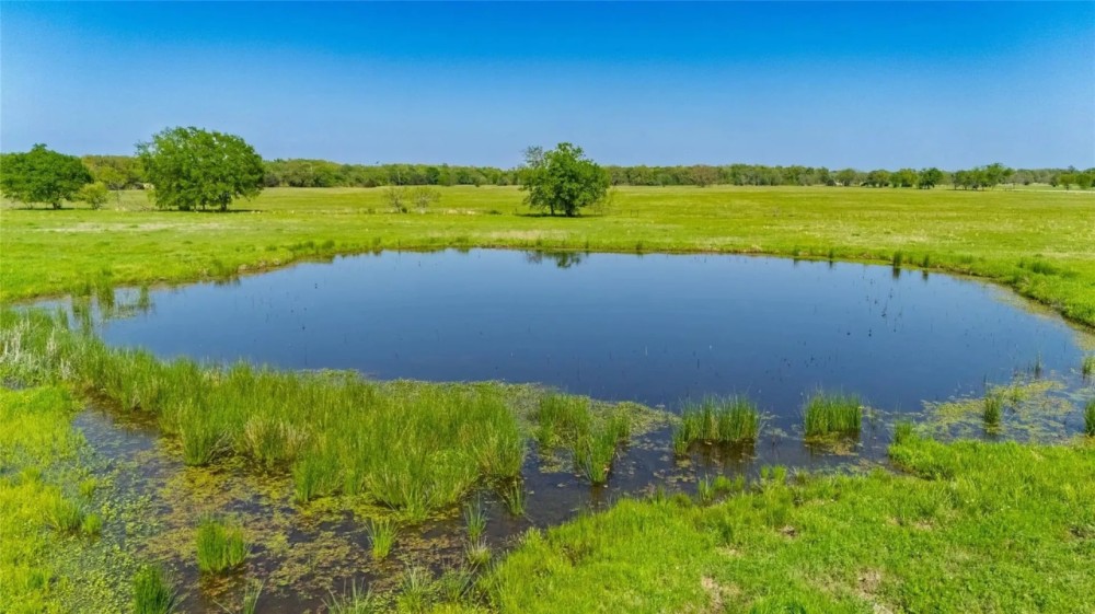 Beautiful 248 acres with Farmhouse barns ponds woods pastures featured image