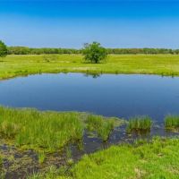 Beautiful 248 acres with Farmhouse barns ponds woods pastures