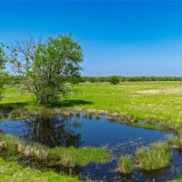 Beautiful 248 acres with Farmhouse barns ponds woods pastures images 5