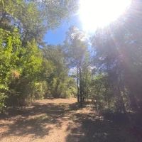 60 acres- Mature Timber- Salem School District images 5