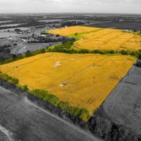 77 Acres of Farmland in Gardner KS