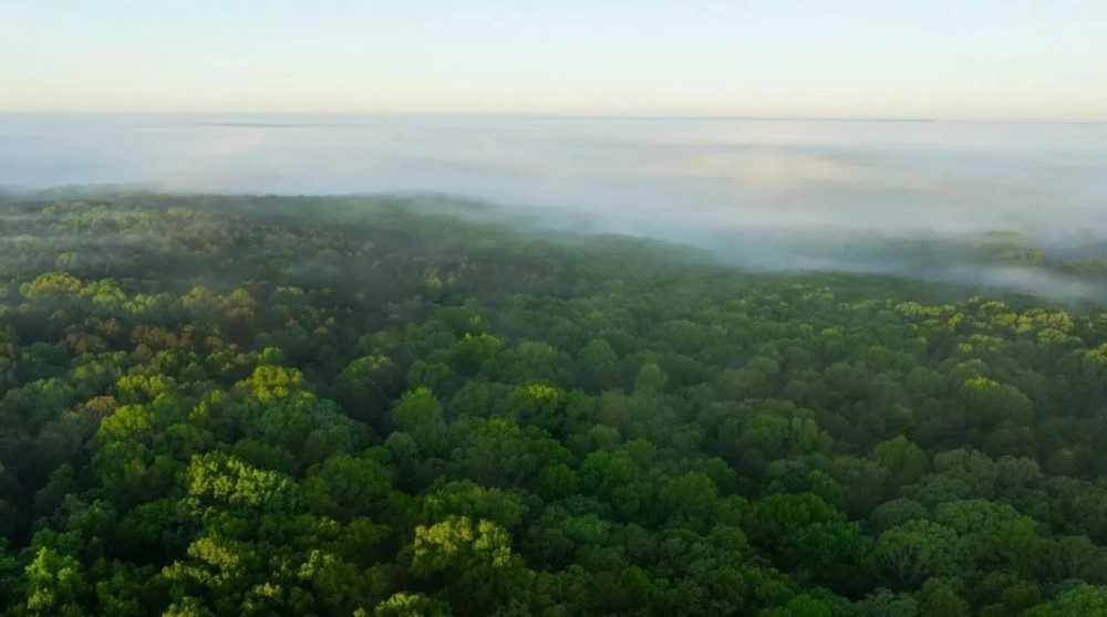 Large Recreational Tract With A Home In The Heart Of The Ozarks featured image