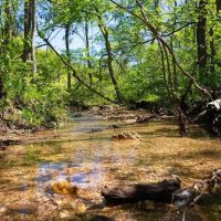 Large Recreational Tract With A Home In The Heart Of The Ozarks images 2