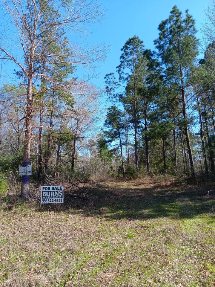 74 acres near Davy Crockett National Forest featured image