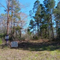 74 acres near Davy Crockett National Forest