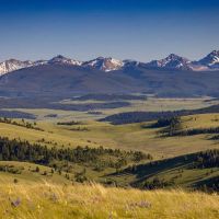 Rocking Chair Ranch images 2