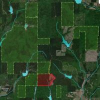 199 Acres - Ripley MS - Private entry to remote portion of Holly Springs NF