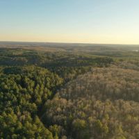 199 Acres - Ripley MS - Private entry to remote portion of Holly Springs NF images 2