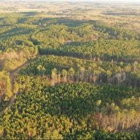 199 Acres - Ripley MS - Private entry to remote portion of Holly Springs NF images 3