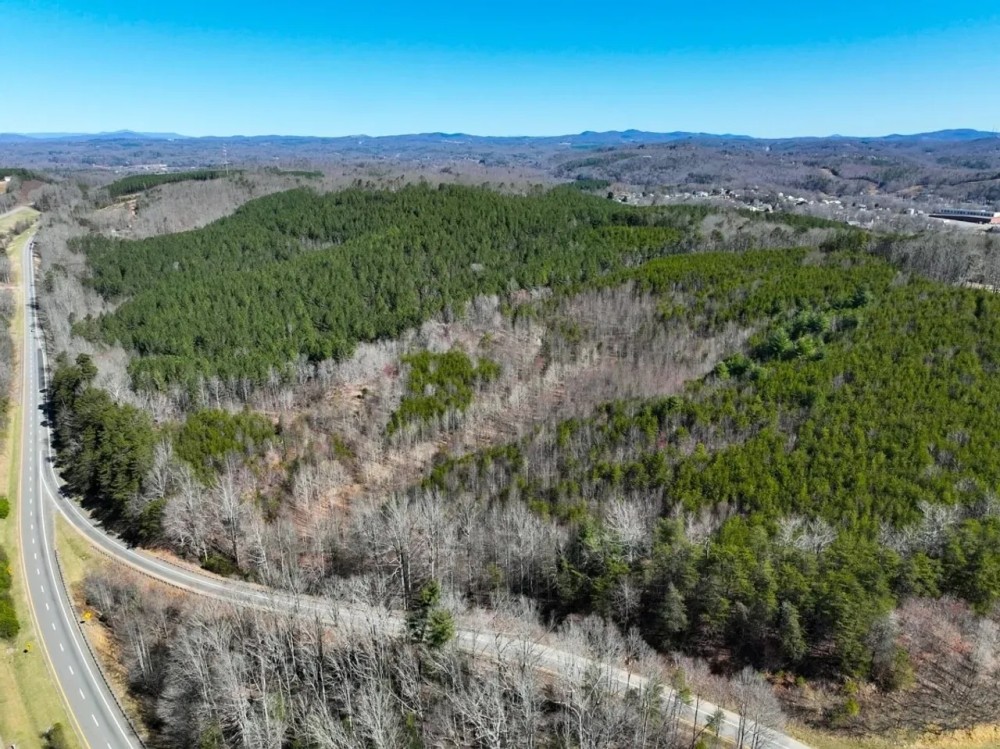 30.19 acres of Multi-use Land for Sale in Henry County VA featured image