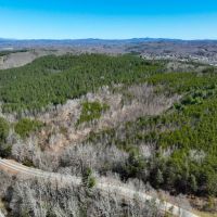 30.19 acres of Multi-use Land for Sale in Henry County VA