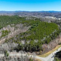 30.19 acres of Multi-use Land for Sale in Henry County VA images 2