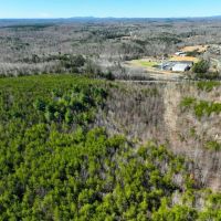 30.19 acres of Multi-use Land for Sale in Henry County VA images 4