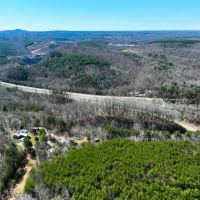 30.19 acres of Multi-use Land for Sale in Henry County VA images 5