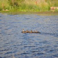 Yampa Headwaters Ranch images 2