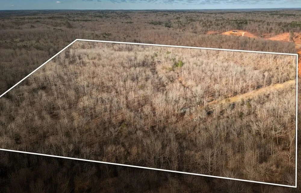 Winona Pioneer Point featured image