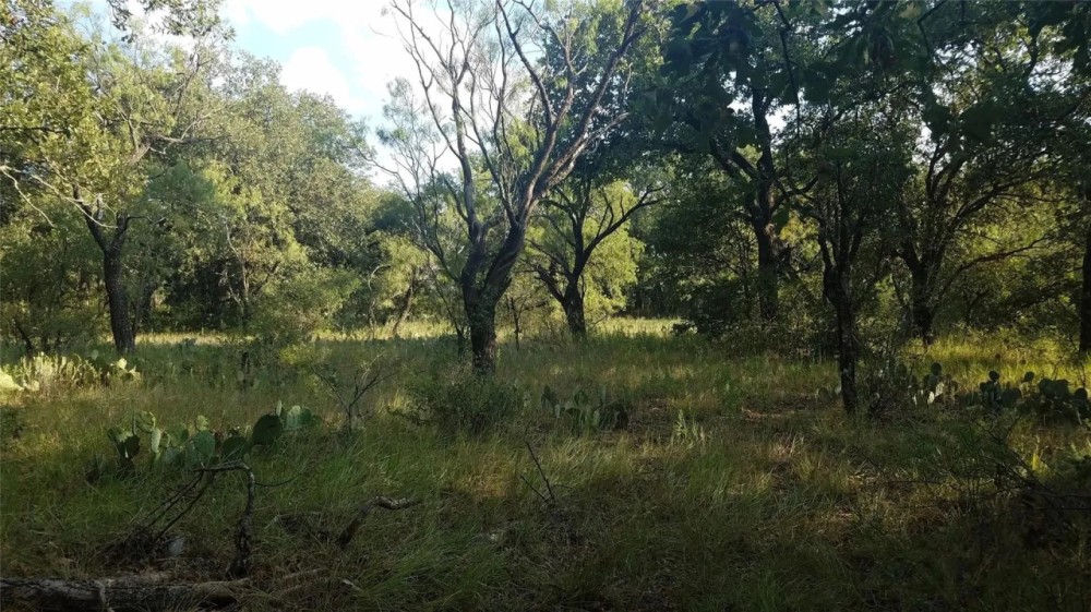 NEW LISTING 69.45 - Acres Colemen County featured image