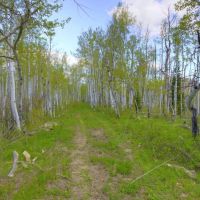 Slater Park Ranch images 4