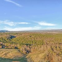 160 Acres near Fort Payne DeKalb County Al MLS 21882080 images 3