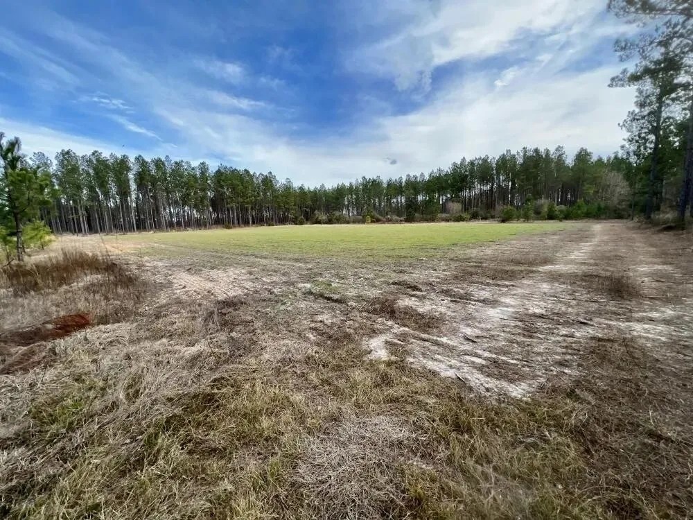 Escambia Creek Hunting and Timber Investment featured image