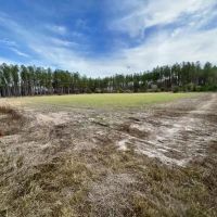 Escambia Creek Hunting and Timber Investment