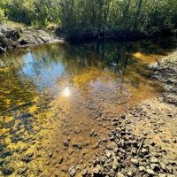 Escambia Creek Hunting and Timber Investment images 2