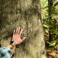 Escambia Creek Hunting and Timber Investment images 4