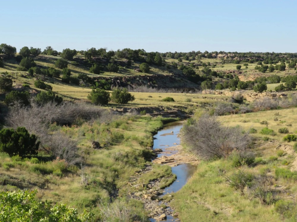Bow Arrow Ranch featured image
