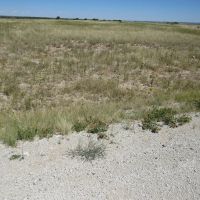 Bow Arrow Ranch images 2
