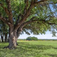 MILLER CREEK RANCH images 2