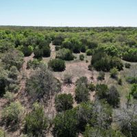 New Listing 16.99 Ac Eastland County images 4